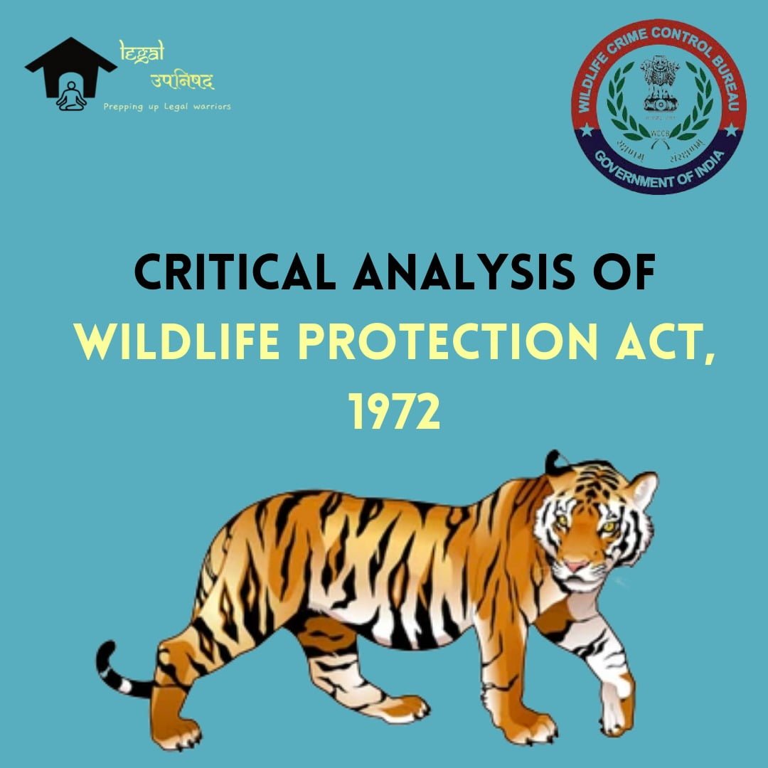 wildlife protection act 1972 essay