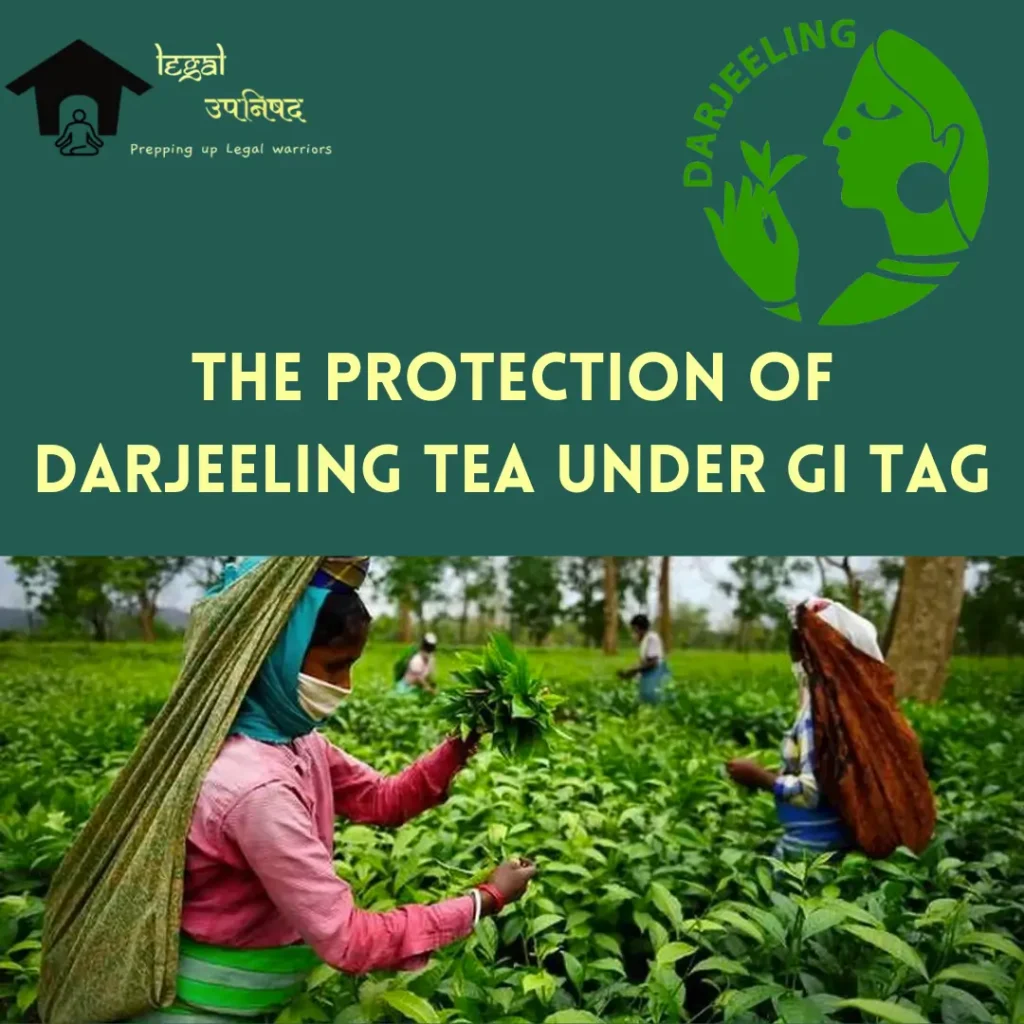 Darjeeling Tea GI Tag Protection
