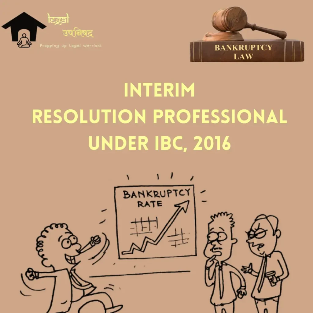 Interim Resolution Professional Duties